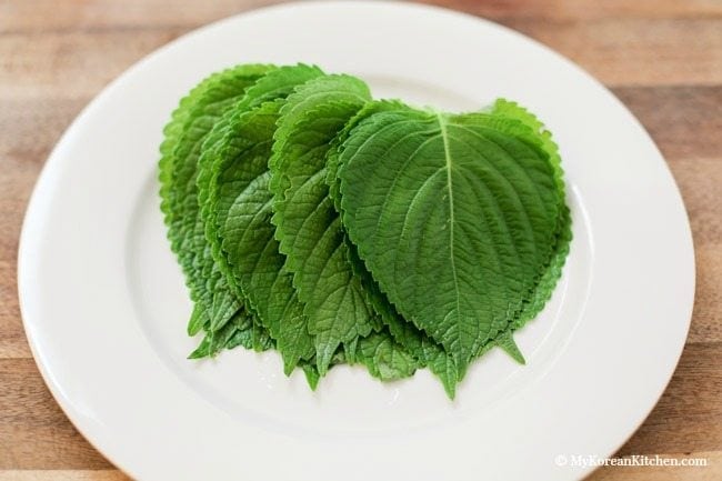 Essential Korean Cooking Ingredients: Korean perilla leaves (Gganip) | MyKoreanKitchen.com